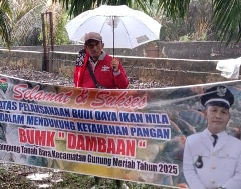 Pemerintah Desa Tanah Bara Kembangkan Budidaya Ikan Nila sebagai Program Ketahanan Pangan