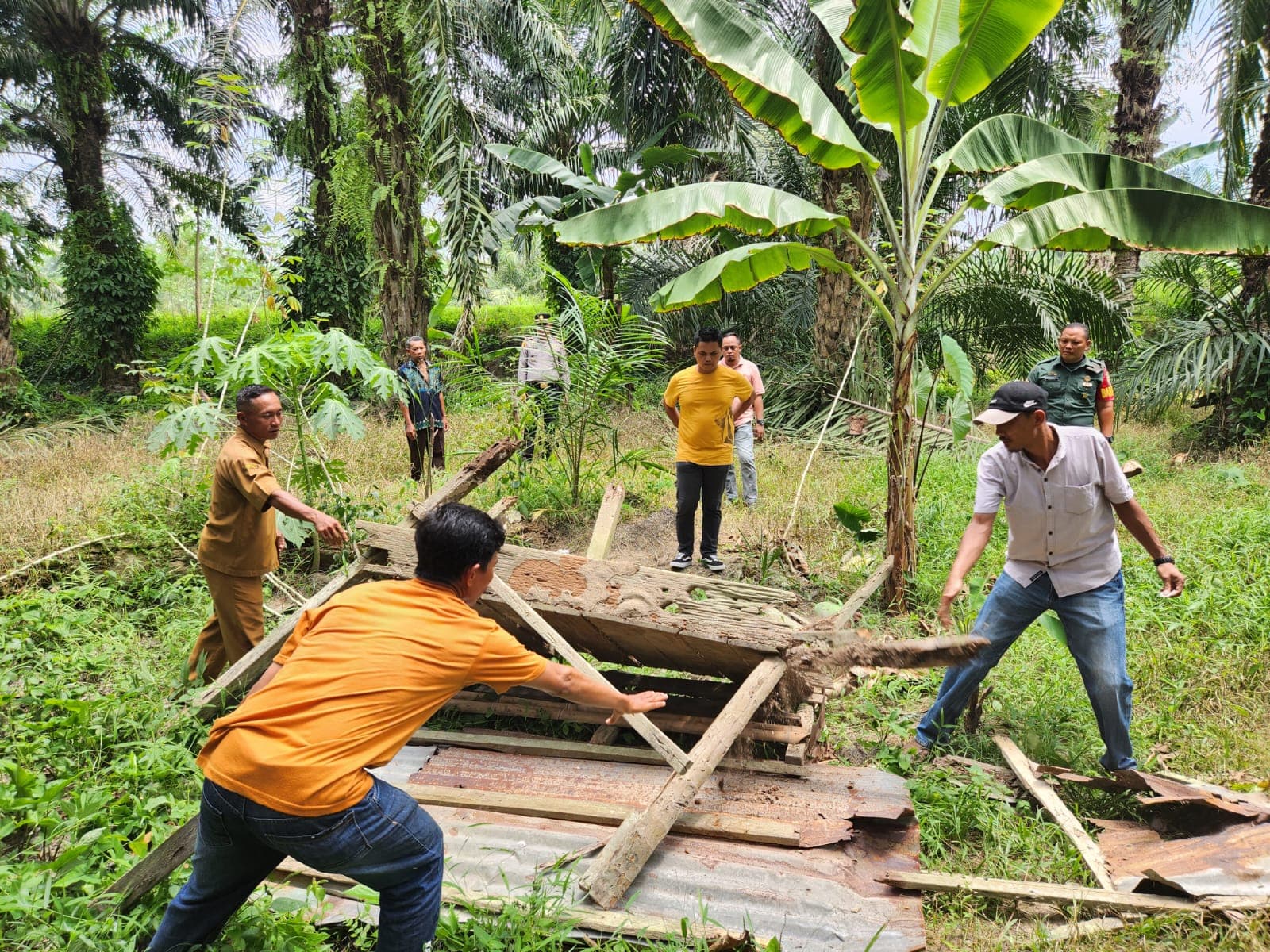 Barak Jaga Sawit Beralih Fungsi Jadi Tempat Jual Sabu Diratakan Polsek Indrapura