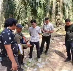 Terkait Penjarahan Buah Sawit, Mantan Camat Klaim Kawasan Hutan Produksi Kebun Miliknya