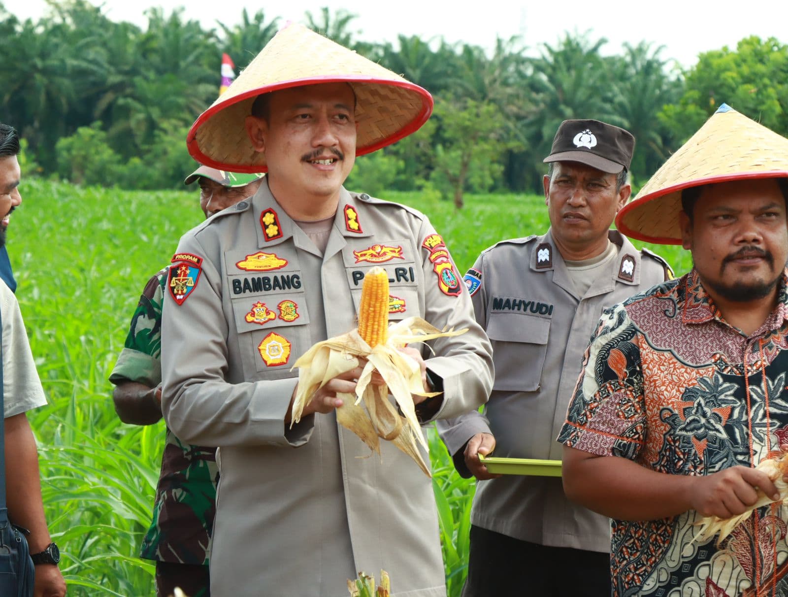 Swasembada Pangan, Kapolres Binjai Panen Raya Kuartal II di Desa Padang Cermin