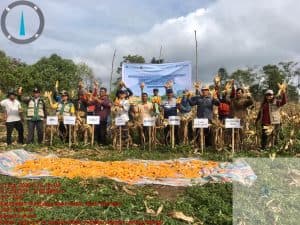 Gerakan Pengendalian Inflasi, Pemkab Humbahas Panen Jagung di Paranginan