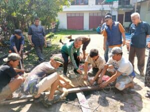 Idul Adha 1447 H, PWI Sumut Sembelih 6 Hewan Kurban