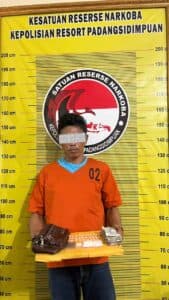 Miliki Puluhan Paket Sabu dan Ganja,Pengedar Dibekuk Polres Padangsidimpuan