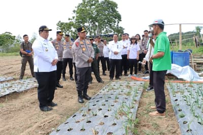 Wujudkan Swasembada Pangan Nasional, Bupati Samosir Bersama Kapolda Sumut Tinjau Lokasi Penanaman Bawang Putih di Kecamatan Simanindo
