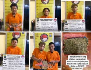 6 Pelaku Penyalahgunaan Narkotika Diringkus Polres Taput, 1 Diantaranya Residivis
