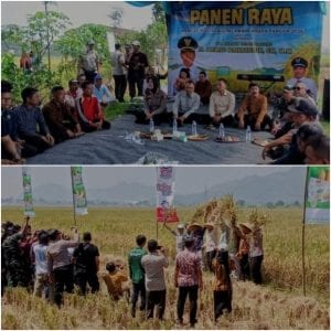 Panen Raya Kepuh: Tulungagung Mantapkan Langkah Menuju Swasembada Pangan
