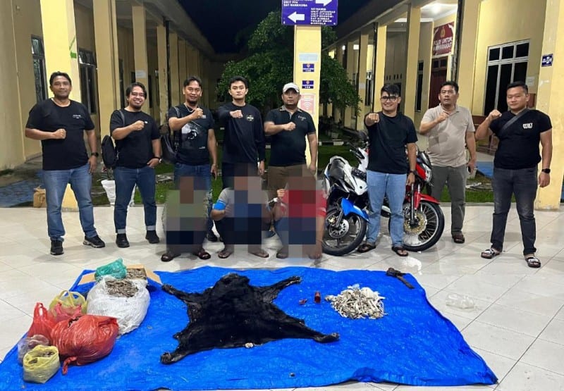 Polres Simalungun Bongkar Jaringan Perdagangan Bagian Tubuh Satwa Dilindungi